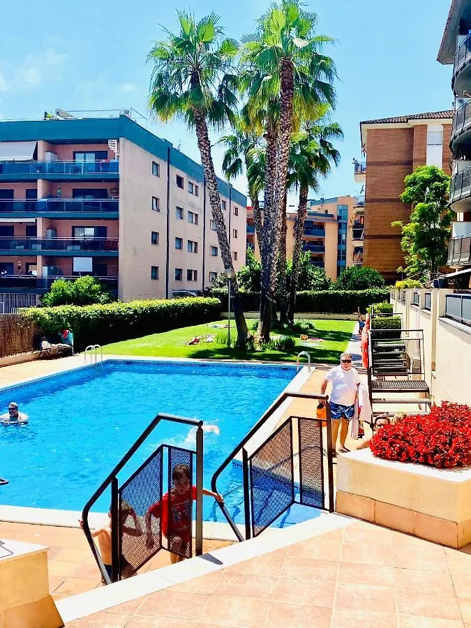 Apartamento Pere Codina contacts